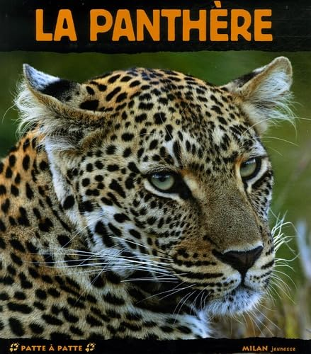 La panth&egrave;re