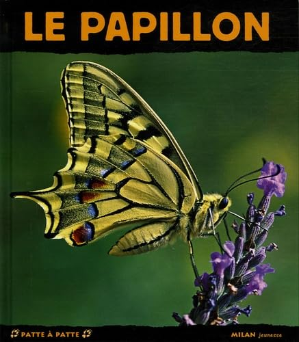 Le papillon