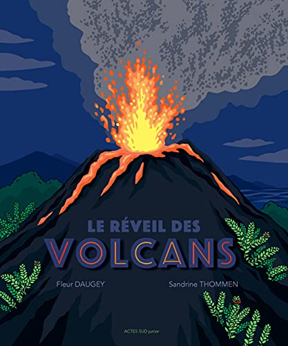Le r&eacute;veil des volcans
