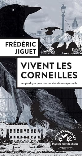 Vivent les corneilles
